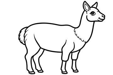 Paca Line Art Vector Design