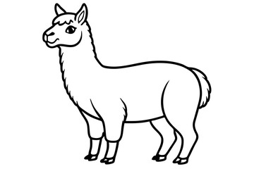 Paca Line Art Vector Design