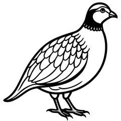 Minimalist Quail Vector Line Art