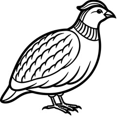 Minimalist Quail Vector Line Art