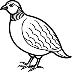 Minimalist Quail Vector Line Art