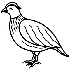 Minimalist Quail Vector Line Art