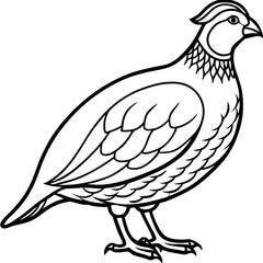 Minimalist Quail Vector Line Art