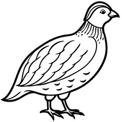 Minimalist Quail Vector Line Art