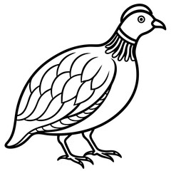 Minimalist Quail Vector Line Art