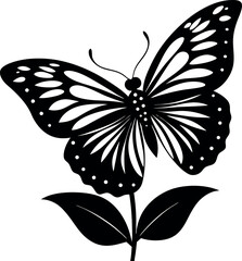black and white butterfly vector silhouette on a transparent background