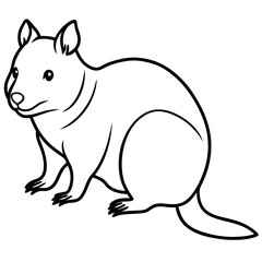 Fototapeta premium Minimalist Quokka Line Art Vector
