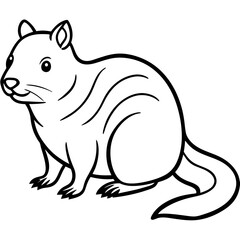 Minimalist Quokka Line Art Vector