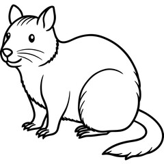Minimalist Quokka Line Art Vector