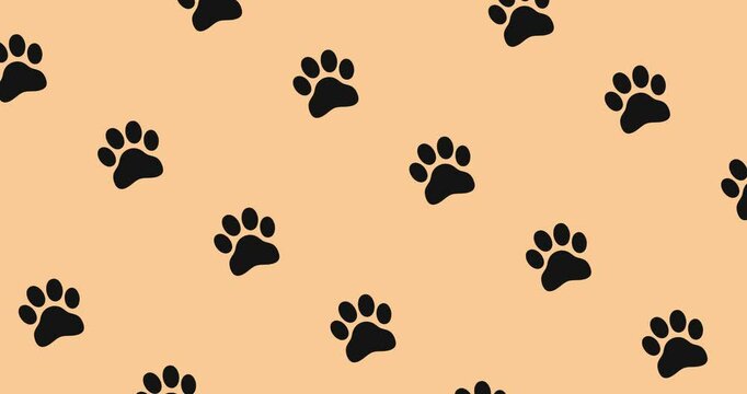 Continuously looping video animation featuring multiple black dog or cat paw prints moving in an intertwined manner over a beige background.