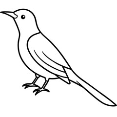 Minimalist Sunbird Line Art Illustration