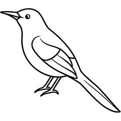 Minimalist Sunbird Line Art Illustration