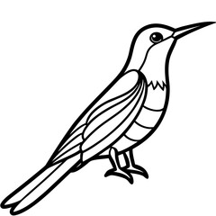 Minimalist Sunbird Line Art Illustration