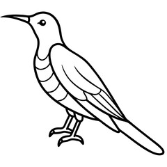 Minimalist Sunbird Line Art Illustration