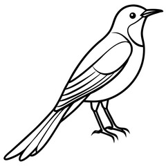 Minimalist Sunbird Line Art Illustration