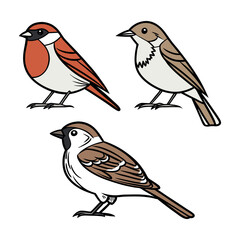 Fototapeta premium Set of three colorful sparrow birds vector illustration