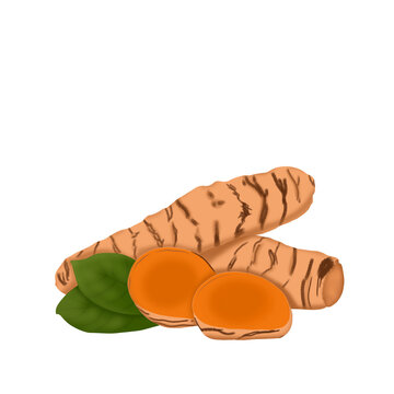 Illustration of several turmeric segments and their slices