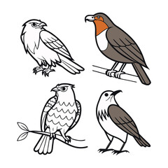 Fototapeta premium Set of 4 bird illustrations, hawks and falcons vector
