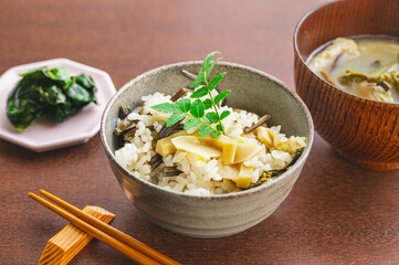 わらびとハチクの山菜ごはん
