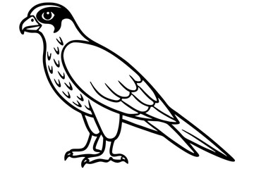 Falcon vector illustration line art and white background