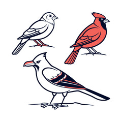 Fototapeta premium Set of 3 colorful bird illustrations
