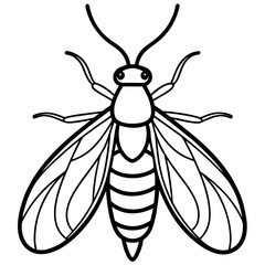 Firefly Outline Vector Illustration