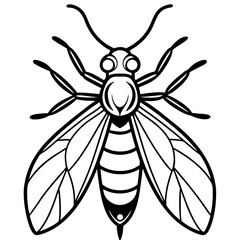 Firefly Outline Vector Illustration