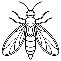 Firefly Outline Vector Illustration