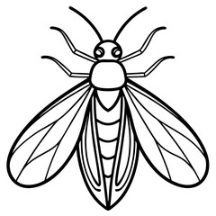 Firefly Outline Vector Illustration