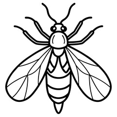 Firefly Outline Vector Illustration
