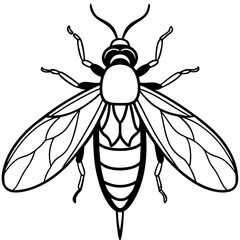 Firefly Outline Vector Illustration