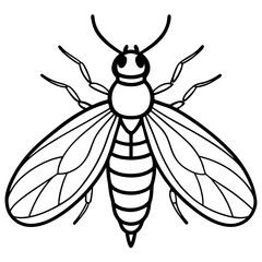 Firefly Outline Vector Illustration