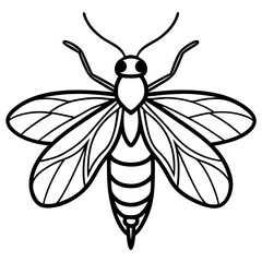 Firefly Outline Vector Illustration