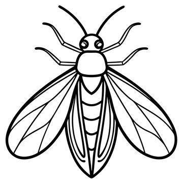 black and white insect outline clip art preview
