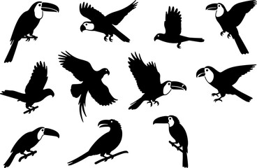 Obraz premium Silhouettes of various tropical birds in flight and perched.