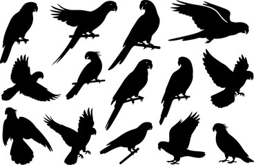 Obraz premium A set of black silhouettes of parrots in various poses, including perched, flying, and different angles.