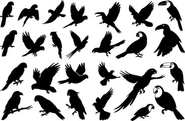 Obraz premium Silhouette Collection of Various Parrots and Birds in Flight and Rest