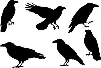 Obraz premium Bundle Silhouette Crows in Various Poses