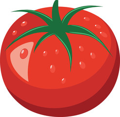 Realistic vibrant red tomato with water droplets and green stem vector illustration.