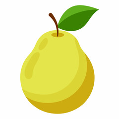 Simple Japanese Pear Vector