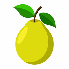 Simple Japanese Pear Vector