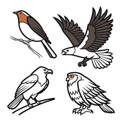Obraz premium Set of four bird illustrations in various poses