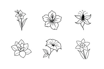 vector set of flowers