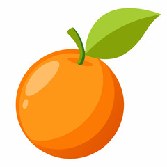 Kumquat Vector with White Background