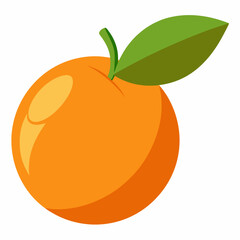 Kumquat Vector with White Background