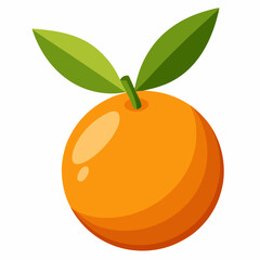 Kumquat Vector with White Background