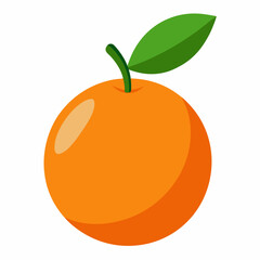 Kumquat Vector with White Background
