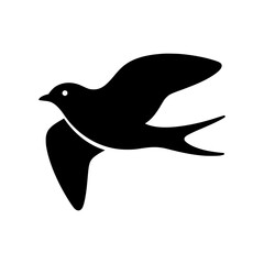 vector illustration of a dove