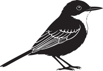 Gnatcatcher Vector Silhouette