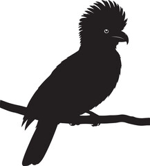 Andean Cock – Solid Black Silhouette and Outline Vector Set